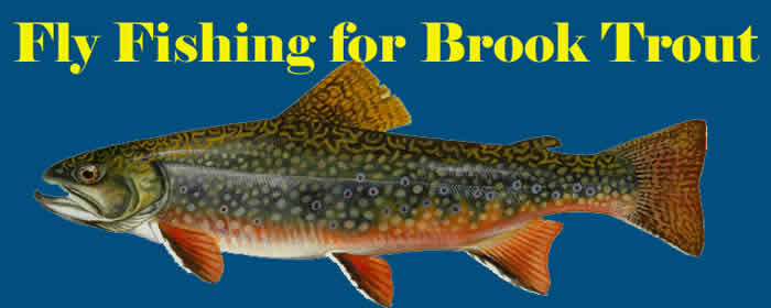 Fly Fishing For Brook Trout
